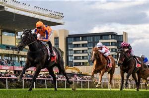 Moir Stakes Betting Tips 2022, Odds, Field & Barrier Draw.